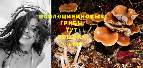 синтетический гашиш Аркадак