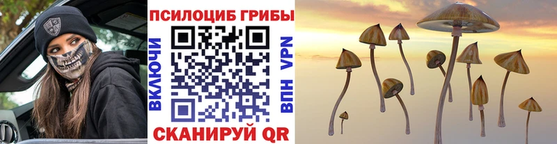 Псилоцибиновые грибы MAGIC MUSHROOMS  Ясный 